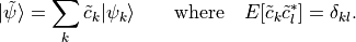 |\tilde \psi\rangle = \sum_k \tilde c_k |\psi_k \rangle
      \qquad \mathrm{where} \quad E[\tilde c_k \tilde c_l^\ast] = \delta_{kl}
      .